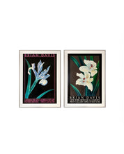 Brian Davis Botanical Framed Art Prints Set of 2