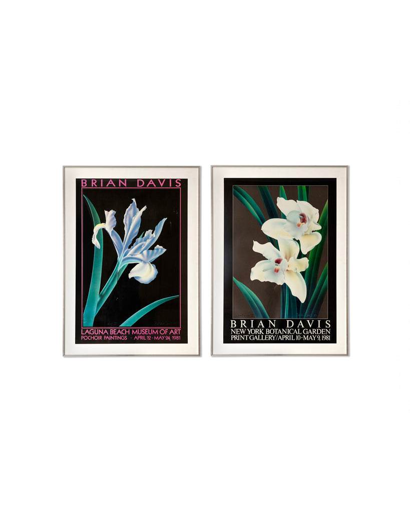 Brian Davis Botanical Framed Art Prints Set of 2