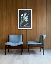 Botanical Framed Art Prints 20th Century  by Brian Davis Set of 2