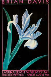 Botanical Framed Art Prints 20th Century  by Brian Davis Set of 2