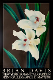 Botanical Framed Art Prints 20th Century  by Brian Davis Set of 2